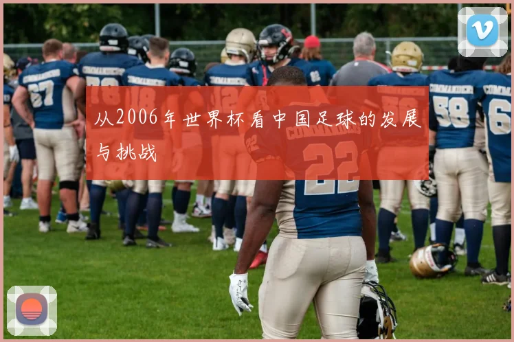 从2006年世界杯看中国足球的发展与挑战