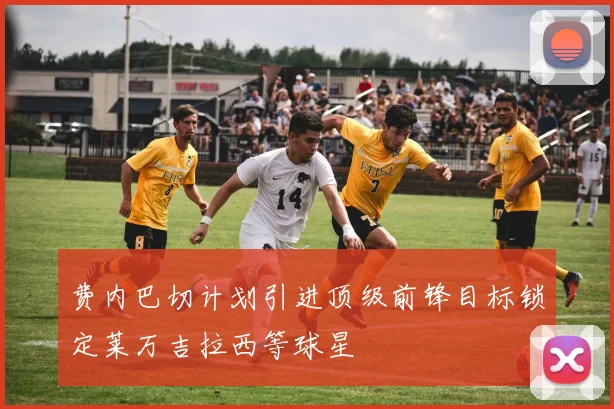 费内巴切计划引进顶级前锋目标锁定莱万吉拉西等球星
