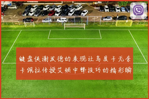 键盘侠谢泼德的表现让乌度卡无奈卡佩拉传授艾顿中锋技巧的精彩瞬间